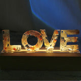 Personalized diy Dry Flower Letter Light