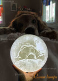 pet's photo moon lamp